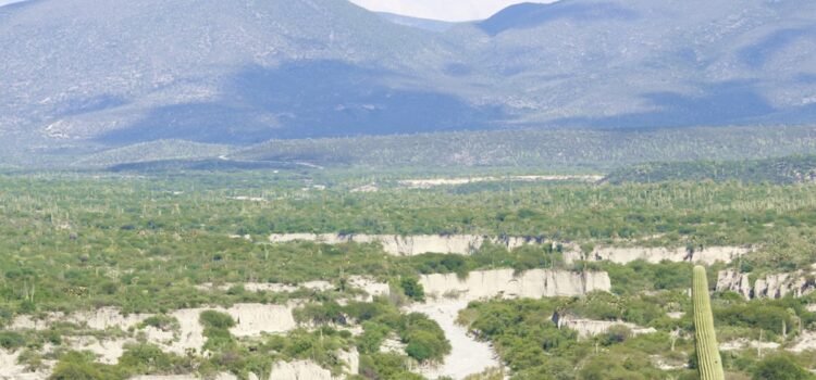 Organizaciones de Oaxaca y Puebla denuncian amenazas en el marco del Foro Regional por la Defensa de los Territorios Organizaciones de Oaxaca y Puebla denuncian amenazas en el marco del Foro Regional por la Defensa de los Territorios